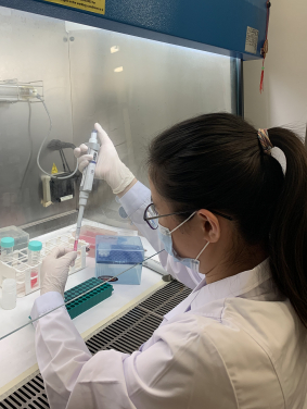 Extraction of SARS-CoV-2 virus RNA from sewage